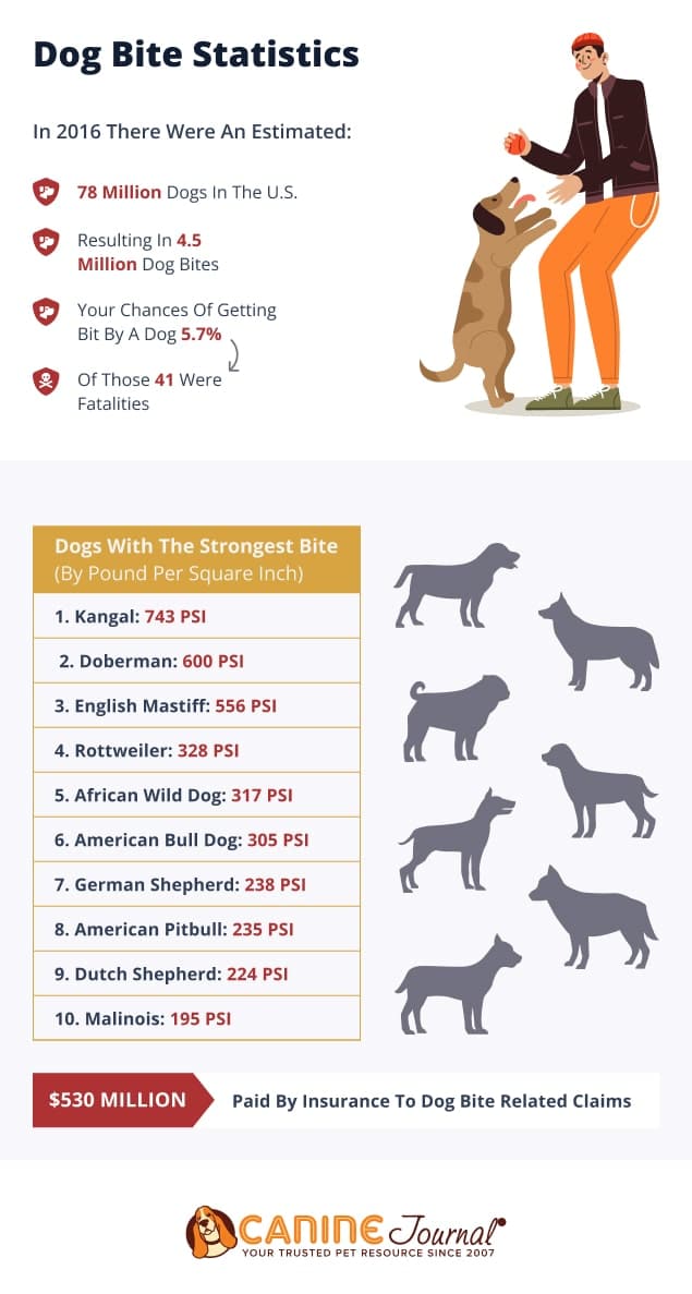 Dog Bites Dog Bite Statistics In 2016 Infographic